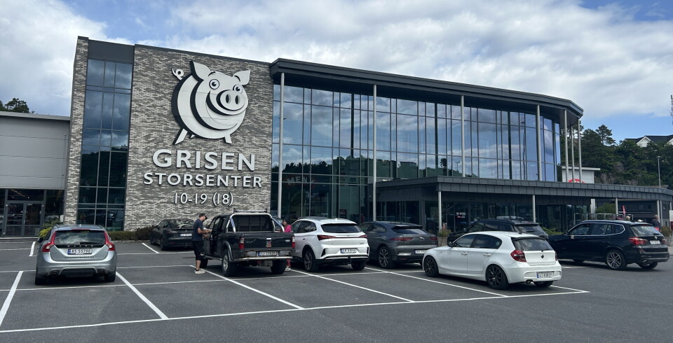 Hva skal Grisen hete?