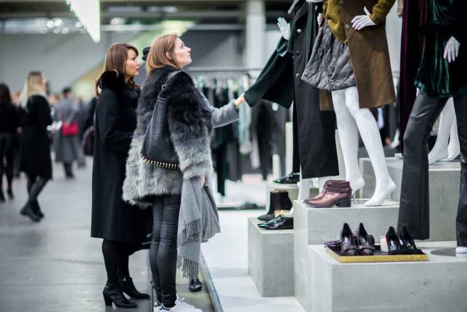 CIFF_jan_15_03