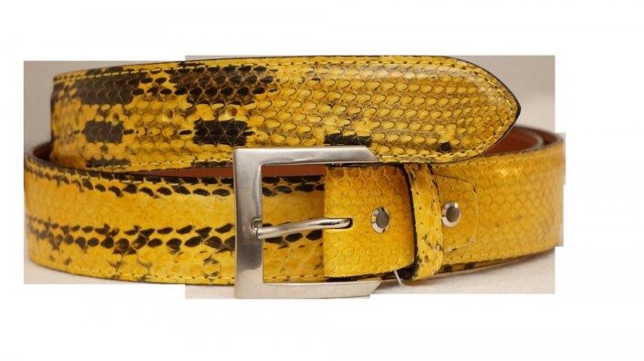BAD by Bredal - belter av watersnake i motefarger BAD by Bredal - belter av watersnake i motefarger