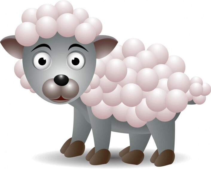 Fleece kan være laget av mange ulike materialer, også ull (Yay Images) Fleece kan være laget av mange ulike materialer, også ull (Yay Images)
