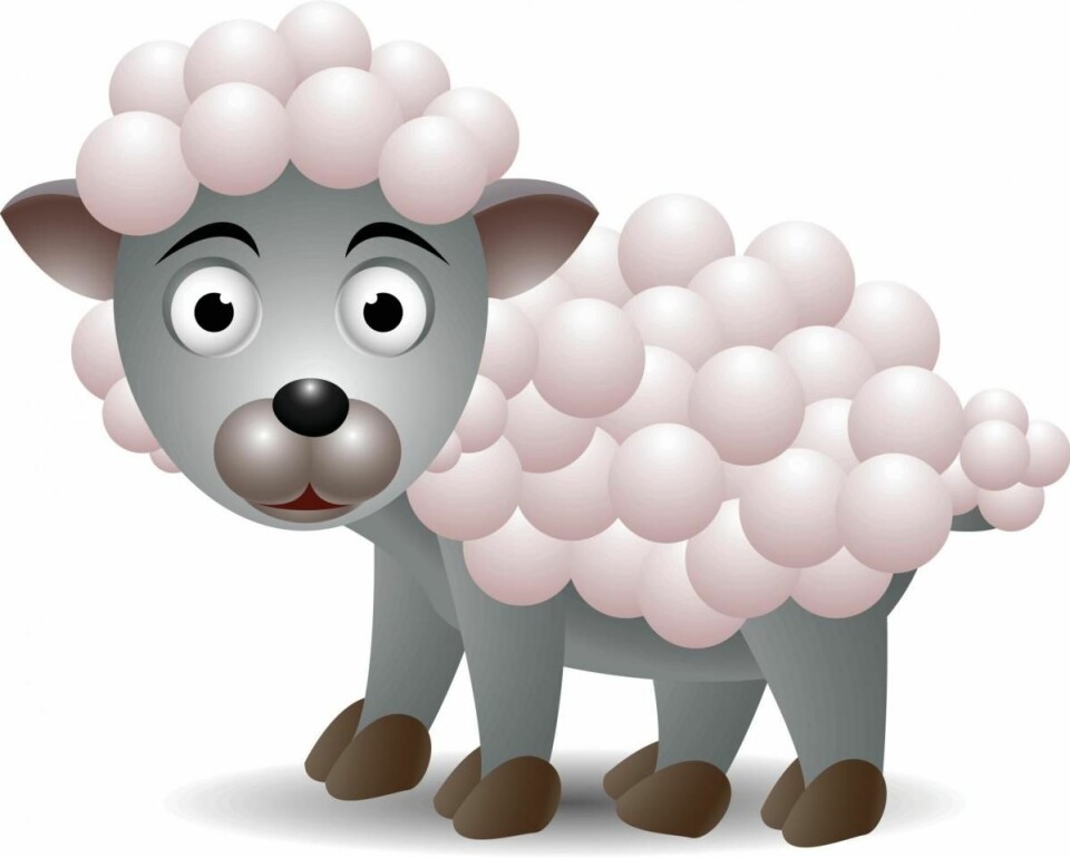 Fleece kan være laget av mange ulike materialer, også ull (Yay Images)
