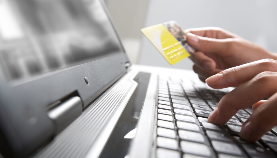 Mange nyetablerte selskaper satser på netthandel