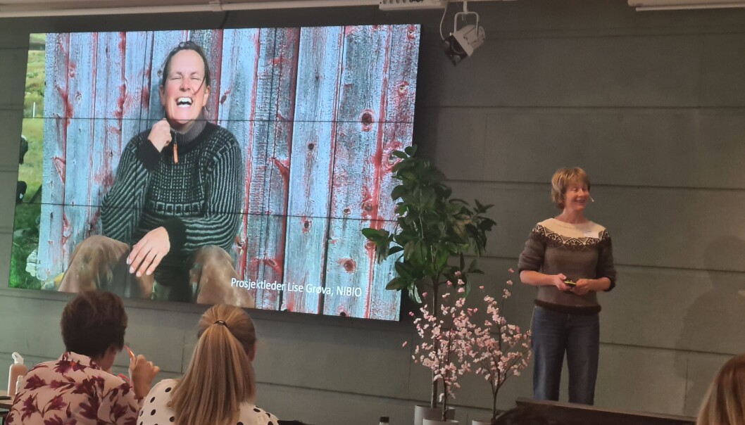 Rose Bergslid er en av Norges få eksperter på hva som faktisk er klimakonsekvensene fra norsk ull Rose Bergslid er en av Norges få eksperter på hva som faktisk er klimakonsekvensene fra norsk ull