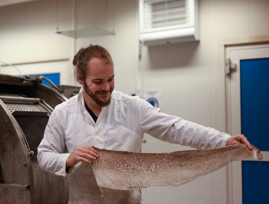 FOGG Gildeskål vil bruke fiskeskinn i skoproduksjon