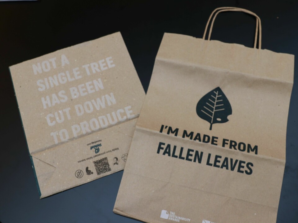 Bæreposer laget av nedfallsløv er et nytt og bærekraftig produkt hos Ludvigsen